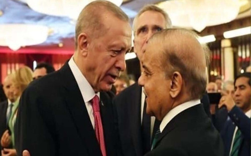 সংকটে পাকিস্তানের পাশে থাকবে তুরস্ক 