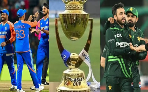 ভারত-পাকিস্তান ম্যাচের দায়িত্বে বাংলাদেশি আম্পায়ার 