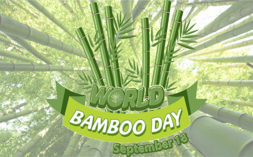 বিশ্ব বাঁশ দিবস আজ 