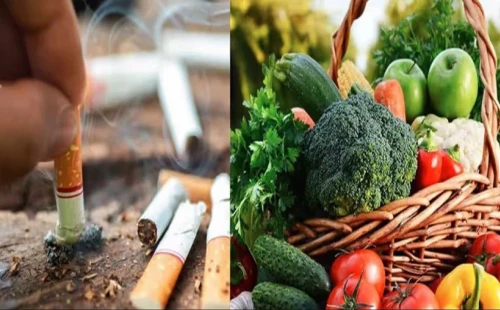 ধূমপানের ক্ষতি পুষিয়ে তুলতে সাহায্য করে যে ৫ খাবার 