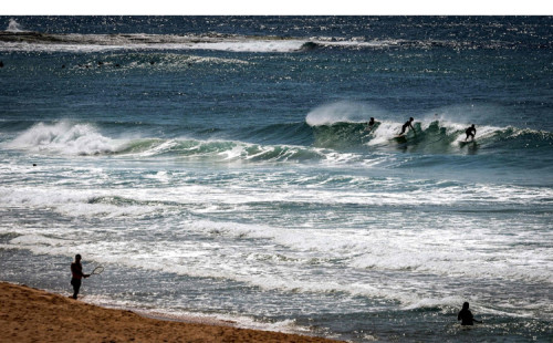 উত্তপ্ত হচ্ছে নিউজিল্যান্ডের সমুদ্র 