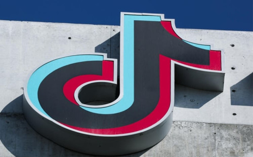 নিষেধাজ্ঞা মেনে চলবে মেটা ও টিকটক 