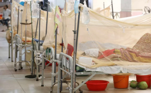 ডেঙ্গুতে আরও ৫ জনের মৃত্যু 