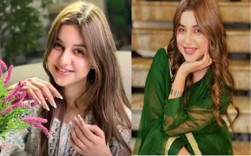 ব্যক্তিগত মুহূর্তের ভিডিও ফাঁস, সমালোচনার মুখে দেশ ছাড়লেন টিকটকার 