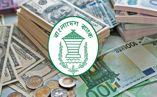 ১২ দিনে দেশে রেমিট্যান্স এলো ১৩৪৬ মিলিয়ন ডলার 