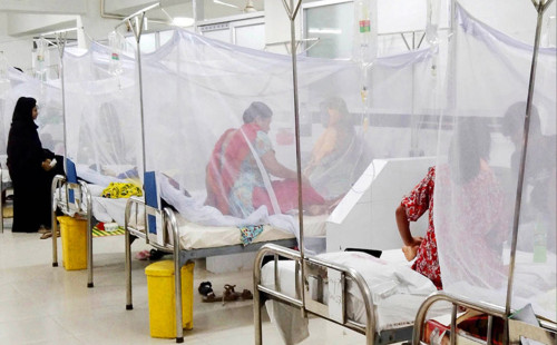 ২৪ ঘন্টায় ডেঙ্গুতে আক্রান্ত ২১৭, দেশজুড়ে আতঙ্ক! 