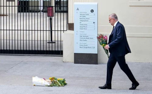 নিরাপত্তা পর্যালোচনার নির্দেশ আলবানিজের 