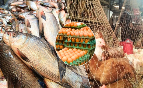 মাছের বাজার চড়া, মুরগি ও ডিমে মিলছে কিছুটা স্বস্তি 