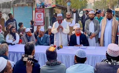 উনি তো এখন বড় মুফতি হয়ে গেছেন, বিলেত থেকে এসে ফতোয়া দিচ্ছেন: গোলাম পরওয়ার 