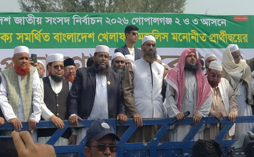 ১১ দলীয় জোট কোনো ব্যক্তি স্বার্থে গঠিত হয়নি : মামুনুল হক 