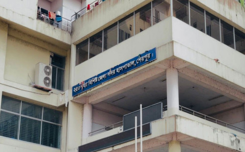 সড়ক দুর্ঘটনায় সহকারী প্রিজাইডিং অফিসারসহ নিহত ২ 