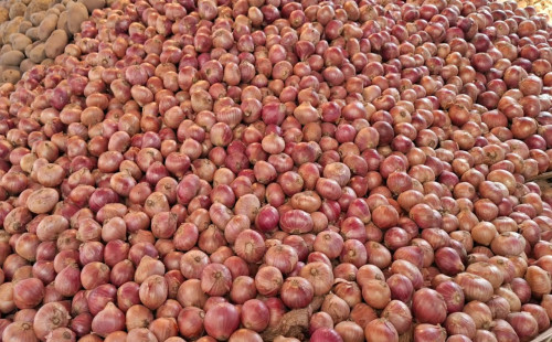 রোজা শুরুতেই পেঁয়াজের দাম চড়া, কেজিতে বেড়েছে ১০–১৫ টাকা 